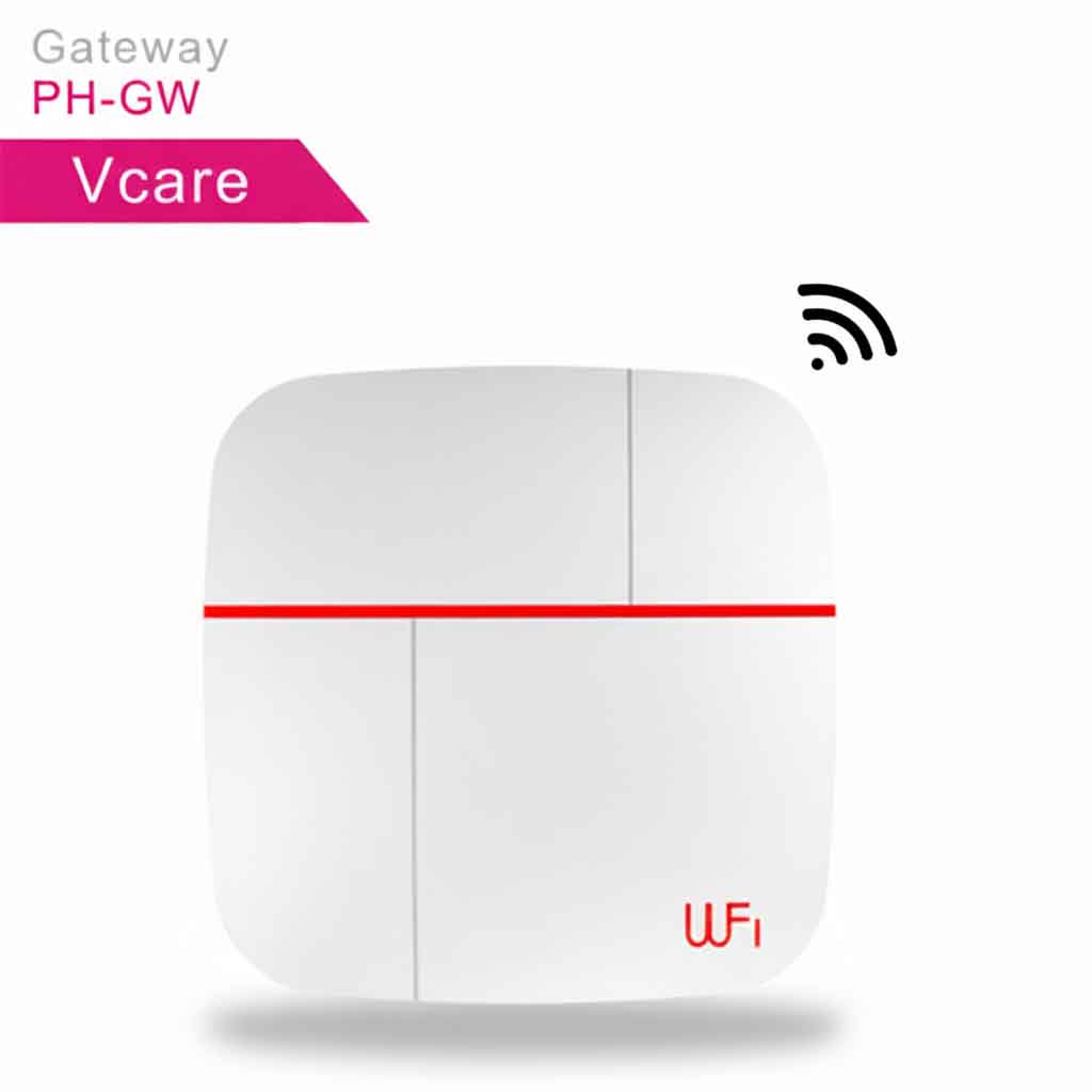 Vcare Security System 1